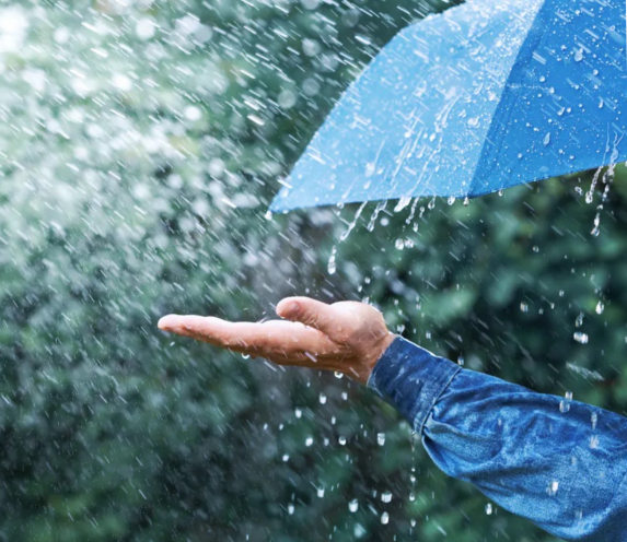 fermé dimanche 22 mars